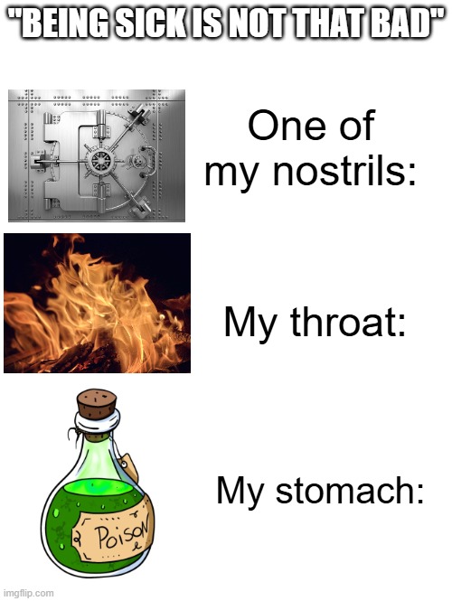 Being sick sucks man :( | "BEING SICK IS NOT THAT BAD"; One of my nostrils:; My throat:; My stomach: | image tagged in sick,relatable | made w/ Imgflip meme maker