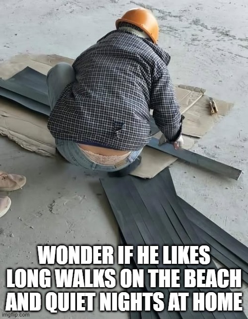Undies | WONDER IF HE LIKES LONG WALKS ON THE BEACH AND QUIET NIGHTS AT HOME | image tagged in sex jokes | made w/ Imgflip meme maker