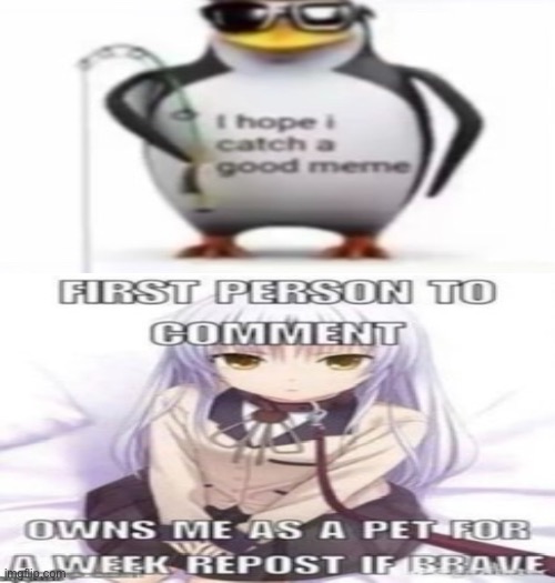 Uh oh, looks like the penguin will catch himself a new pet | made w/ Imgflip meme maker