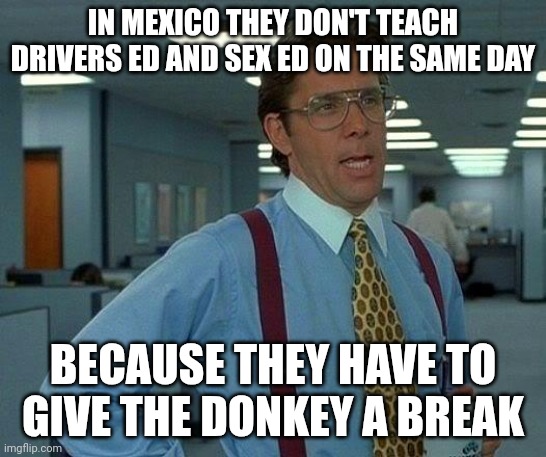 That Would Be Great Meme | IN MEXICO THEY DON'T TEACH DRIVERS ED AND SEX ED ON THE SAME DAY; BECAUSE THEY HAVE TO GIVE THE DONKEY A BREAK | image tagged in memes,that would be great | made w/ Imgflip meme maker