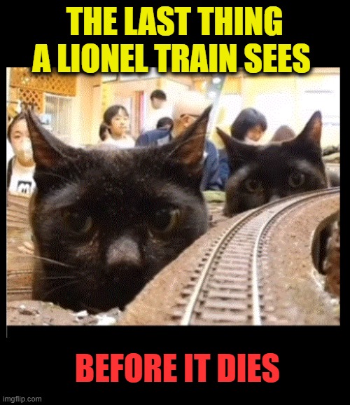 lol cats | THE LAST THING A LIONEL TRAIN SEES; BEFORE IT DIES | image tagged in cats,trains,toys | made w/ Imgflip meme maker