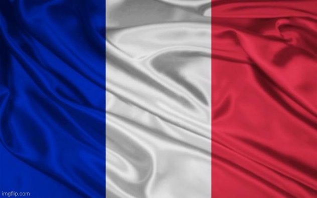 I dare you to tell me the kind of flag this is | image tagged in french flag | made w/ Imgflip meme maker