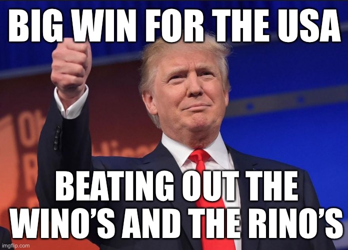 A big Thank you to the American voters | BIG WIN FOR THE USA; BEATING OUT THE WINO’S AND THE RINO’S | image tagged in maga | made w/ Imgflip meme maker