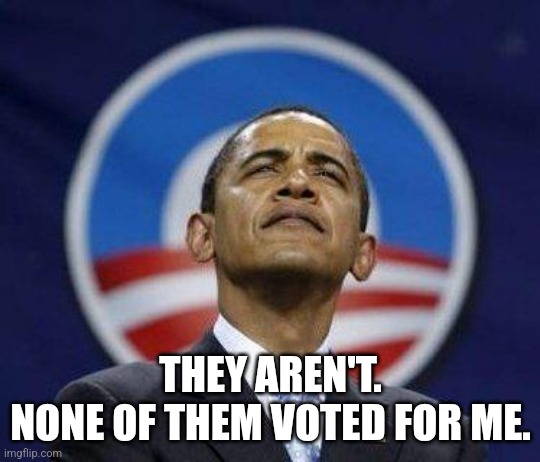 Arrogant Obama | THEY AREN'T.
NONE OF THEM VOTED FOR ME. | image tagged in arrogant obama | made w/ Imgflip meme maker