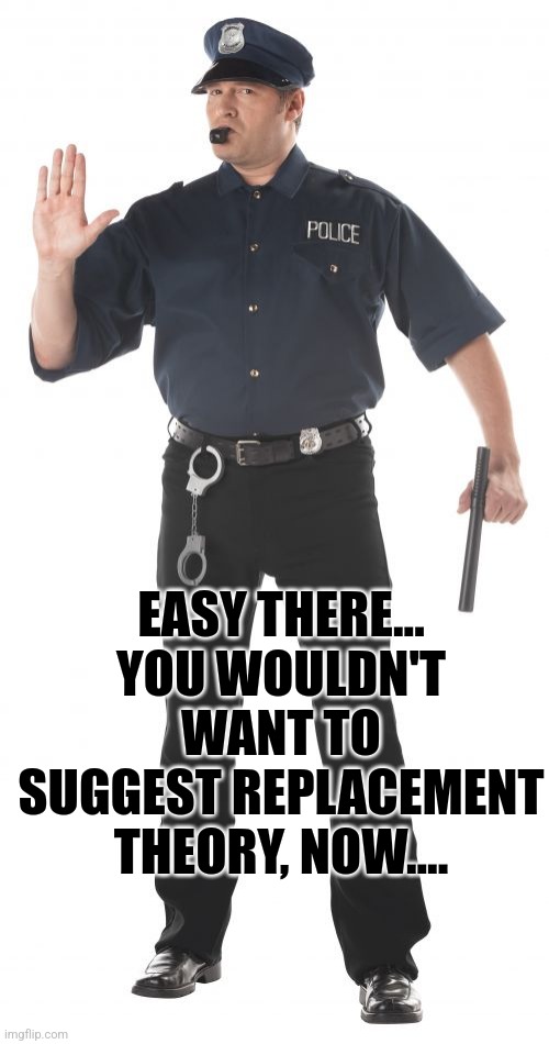 Stop Cop Meme | EASY THERE...
YOU WOULDN'T WANT TO SUGGEST REPLACEMENT THEORY, NOW.... | image tagged in memes,stop cop | made w/ Imgflip meme maker