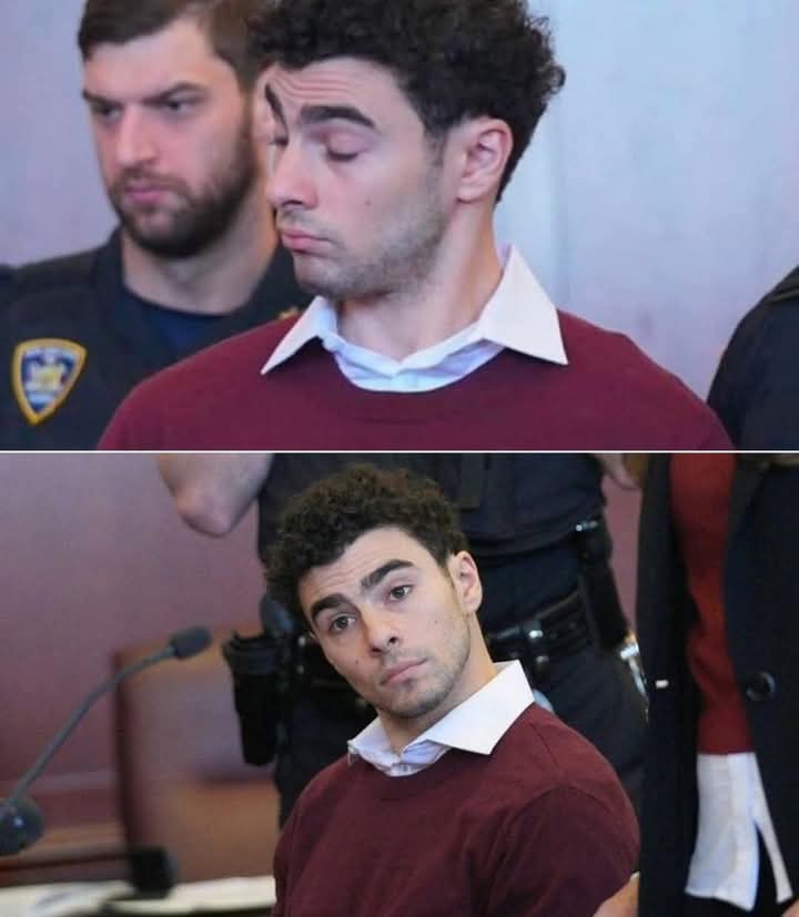 Luigi mangione Blank Meme Template