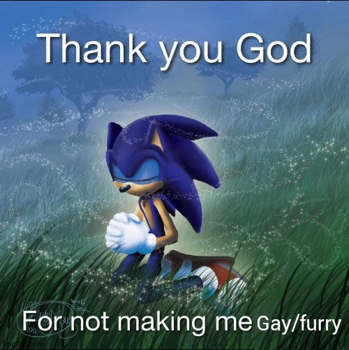 Thank you God for not making me x | Gay/furry | image tagged in thank you god for not making me x | made w/ Imgflip meme maker