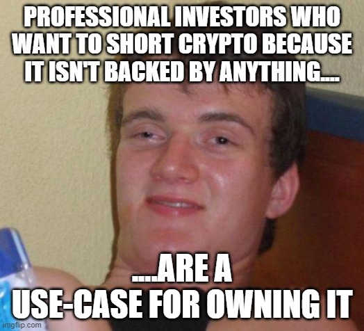 crypto kids | PROFESSIONAL INVESTORS WHO WANT TO SHORT CRYPTO BECAUSE IT ISN'T BACKED BY ANYTHING.... ....ARE A USE-CASE FOR OWNING IT | image tagged in stoned guy | made w/ Imgflip meme maker