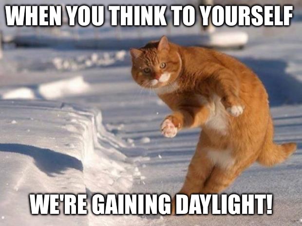 Happy dance cat | WHEN YOU THINK TO YOURSELF; WE'RE GAINING DAYLIGHT! | image tagged in happy dance cat | made w/ Imgflip meme maker