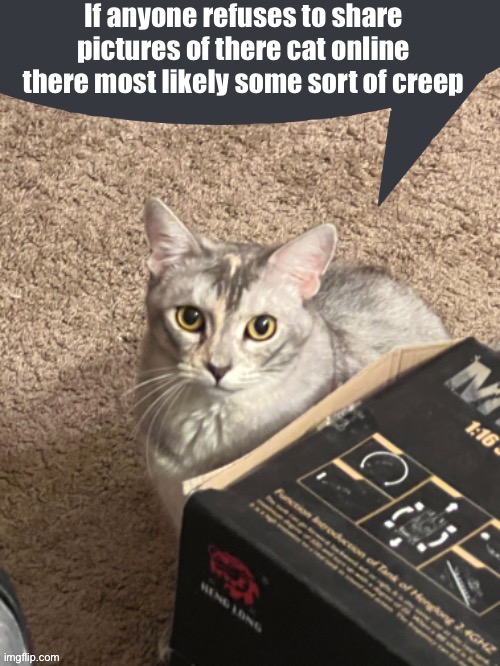 Cinder speech bubble | If anyone refuses to share pictures of there cat online there most likely some sort of creep | image tagged in cinder speech bubble | made w/ Imgflip meme maker