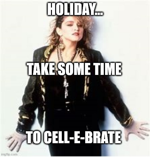 DIE HARD MADONNA FAN | HOLIDAY... TAKE SOME TIME; TO CELL-E-BRATE | image tagged in madonna | made w/ Imgflip meme maker