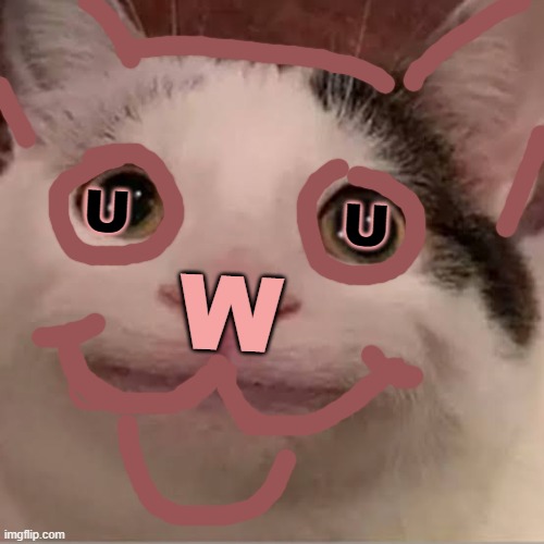 uWu | U           U; W | image tagged in cat face | made w/ Imgflip meme maker