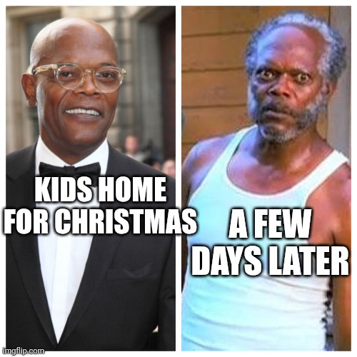 Samuel L Jackson Before and After | KIDS HOME FOR CHRISTMAS; A FEW DAYS LATER | image tagged in samuel l jackson before and after | made w/ Imgflip meme maker