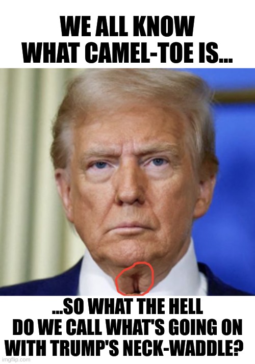 Seriously; reminds me of your mom... | WE ALL KNOW WHAT CAMEL-TOE IS... ...SO WHAT THE HELL DO WE CALL WHAT'S GOING ON WITH TRUMP'S NECK-WADDLE? | image tagged in trump,trump's neck waddle,necgina | made w/ Imgflip meme maker