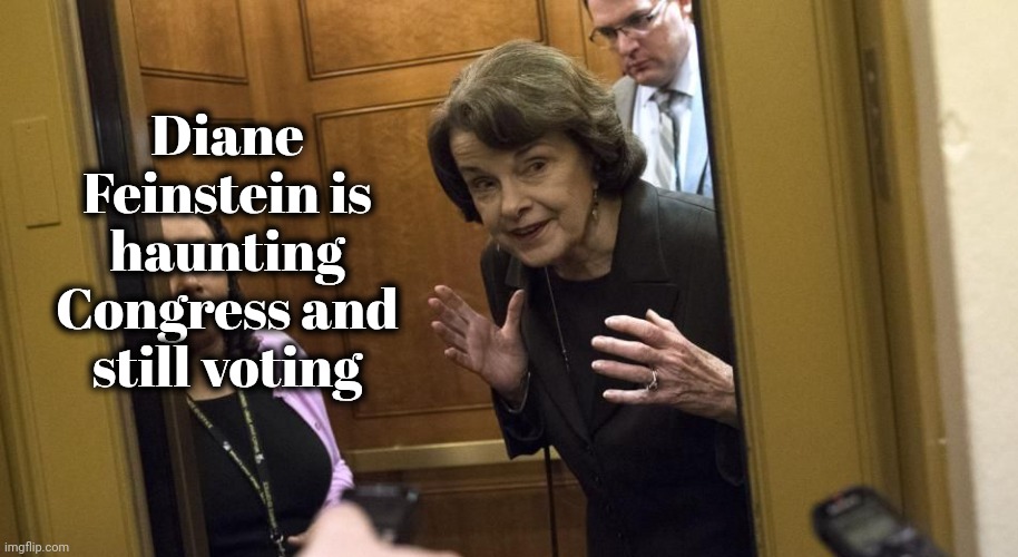 Sneaky Diane Feinstein | Diane Feinstein is haunting Congress and still voting | image tagged in sneaky diane feinstein | made w/ Imgflip meme maker