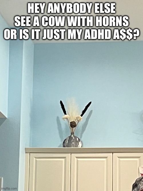 HEY ANYBODY ELSE SEE A COW WITH HORNS OR IS IT JUST MY ADHD A$$? | made w/ Imgflip meme maker