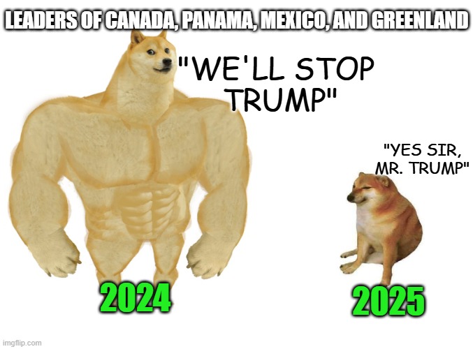 Submit | LEADERS OF CANADA, PANAMA, MEXICO, AND GREENLAND; "WE'LL STOP 
TRUMP"; "YES SIR, MR. TRUMP"; 2024; 2025 | image tagged in big dog small dog | made w/ Imgflip meme maker