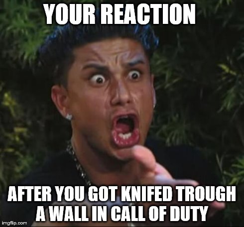 DJ Pauly D | YOUR REACTION  AFTER YOU GOT KNIFED TROUGH A WALL IN CALL OF DUTY | image tagged in memes,dj pauly d | made w/ Imgflip meme maker