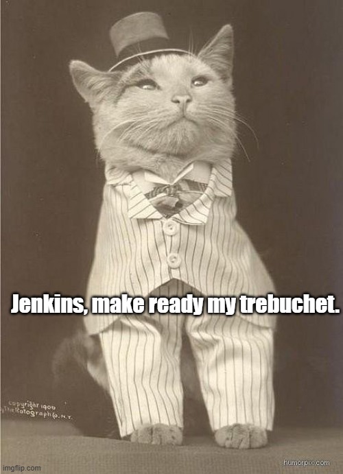 Fancy Cat | Jenkins, make ready my trebuchet. | image tagged in fancy cat | made w/ Imgflip meme maker