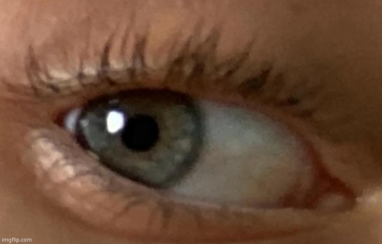 my eyes are actually grey but fuck sunlight it makes it look green. | made w/ Imgflip meme maker