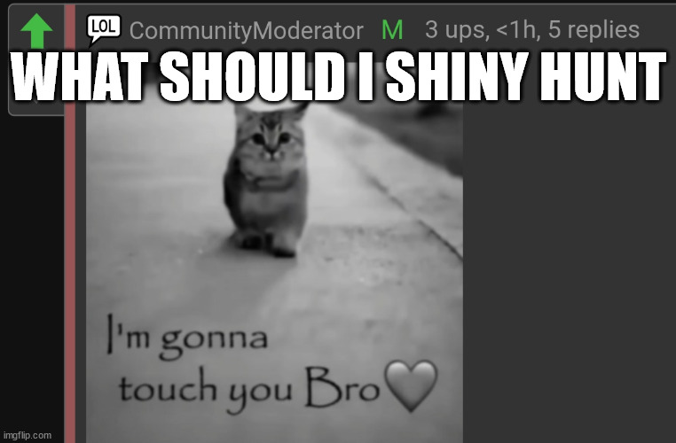 AndrewFinlayson I'm gonna touch you | WHAT SHOULD I SHINY HUNT | image tagged in andrewfinlayson i'm gonna touch you | made w/ Imgflip meme maker