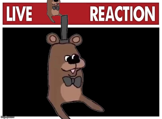 Live reaction | image tagged in live reaction | made w/ Imgflip meme maker