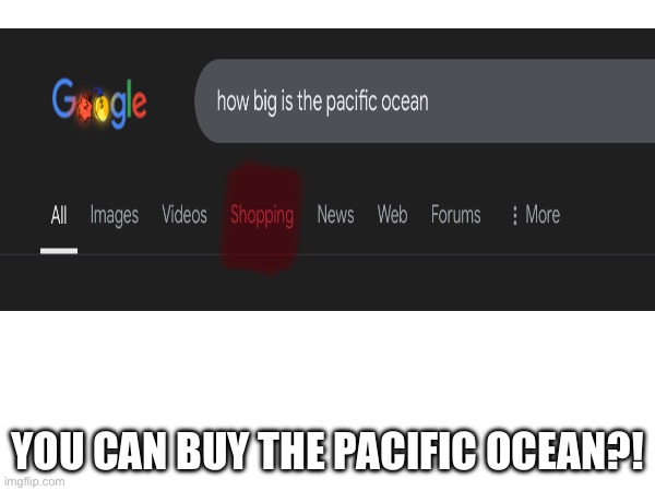 ?! | YOU CAN BUY THE PACIFIC OCEAN?! | image tagged in ocean | made w/ Imgflip meme maker