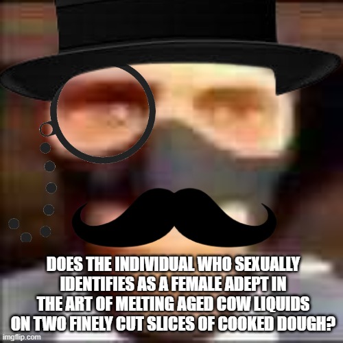 British spy | DOES THE INDIVIDUAL WHO SEXUALLY IDENTIFIES AS A FEMALE ADEPT IN THE ART OF MELTING AGED COW LIQUIDS ON TWO FINELY CUT SLICES OF COOKED DOUGH? | image tagged in spi | made w/ Imgflip meme maker