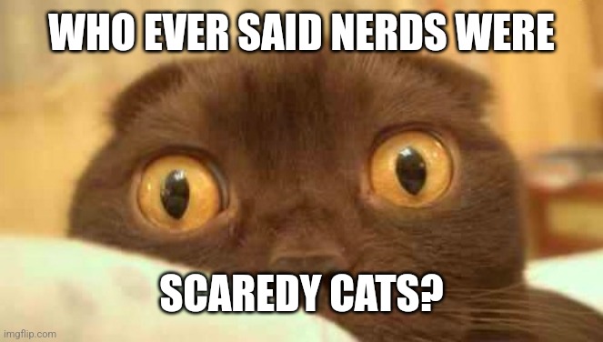 scaredy cat | WHO EVER SAID NERDS WERE SCAREDY CATS? | image tagged in scaredy cat | made w/ Imgflip meme maker