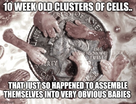 When the 'not a baby yet' argument stops working.. | 10 WEEK OLD CLUSTERS OF CELLS.. THAT JUST SO HAPPENED TO ASSEMBLE THEMSELVES INTO VERY OBVIOUS BABIES | image tagged in liberal logic | made w/ Imgflip meme maker