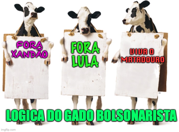 Logica do gado Bolsonarista | FORA LULA; VIVA O 
MATADOURO; FORA XANDÃO; LOGICA DO GADO BOLSONARISTA | image tagged in gado,bolsonaro,bolsonarista,direita,extrema direita,golpista | made w/ Imgflip meme maker