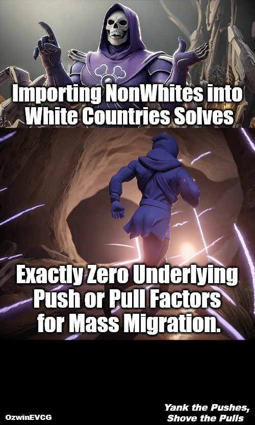 Yank the Pushes, Shove the Pulls | Importing NonWhites into 

White Countries Solves; Exactly Zero Underlying 

Push or Pull Factors 

for Mass Migration. Yank the Pushes, 

Shove the Pulls; OzwinEVCG | image tagged in skeletor until we meet again hd,white countries,nonwhite people,liberal logic,immigration,world occupied | made w/ Imgflip meme maker