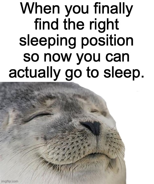 Hi | When you finally find the right sleeping position so now you can actually go to sleep. | image tagged in memes,satisfied seal,relatable | made w/ Imgflip meme maker