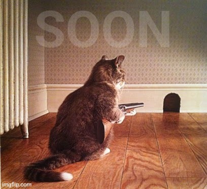 SOON | SOON | image tagged in soon | made w/ Imgflip meme maker