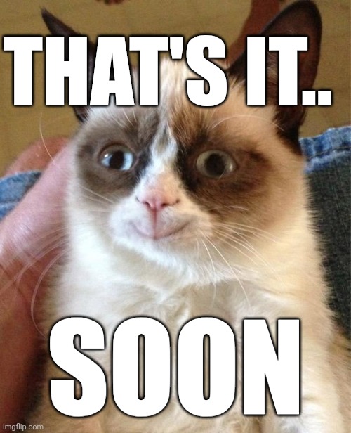 Grumpy Cat Happy Meme | SOON THAT'S IT.. | image tagged in memes,grumpy cat happy,grumpy cat | made w/ Imgflip meme maker