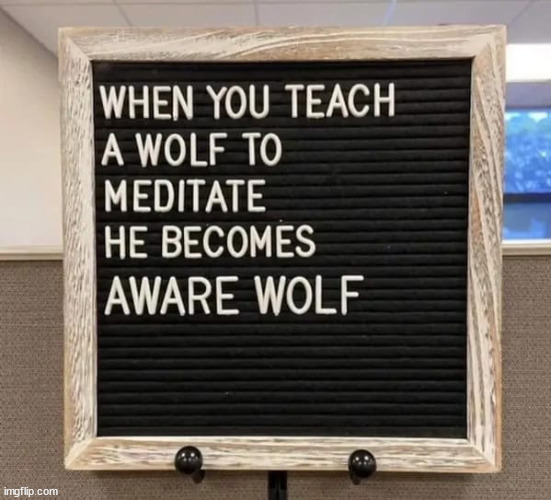 Aware wolf | image tagged in eyeroll,aware wolf | made w/ Imgflip meme maker