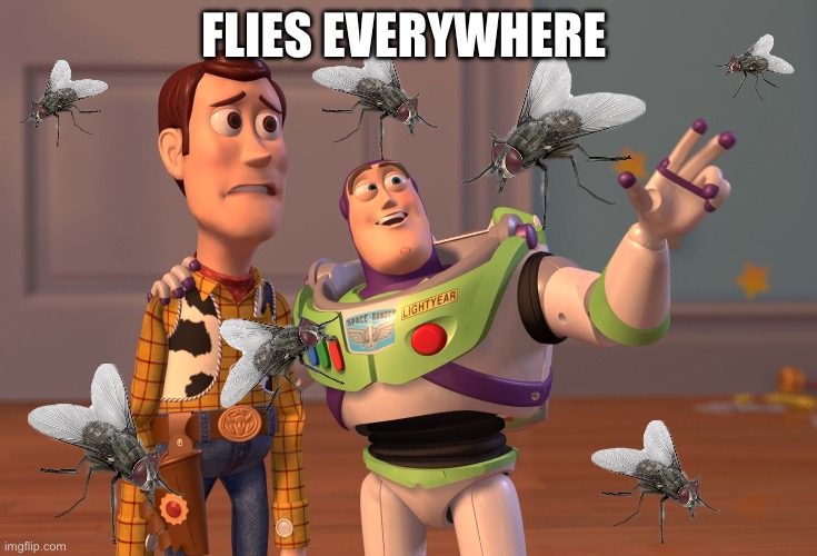 Flies Everywhere SKIBIDI WALDO MEME | FLIES EVERYWHERE | image tagged in memes,x x everywhere,fly,flies,lord of the flies,what is love | made w/ Imgflip meme maker