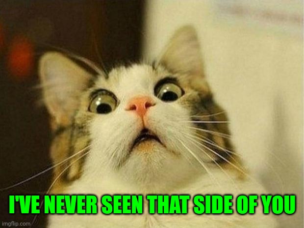 I'VE NEVER SEEN THAT SIDE OF YOU | image tagged in memes,scared cat | made w/ Imgflip meme maker