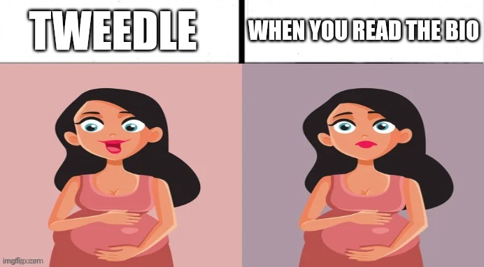 Tweedles are nothing but air! | TWEEDLE; WHEN YOU READ THE BIO | image tagged in pregnant x vs y,tweedles are nothing but air,my singing monsters,makes a lot of fucking sense | made w/ Imgflip meme maker