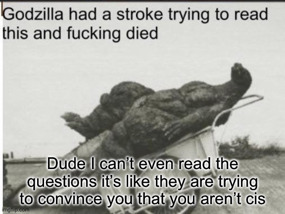 Stupid quiz | Dude I can’t even read the questions it’s like they are trying to convince you that you aren’t cis | image tagged in godzilla | made w/ Imgflip meme maker