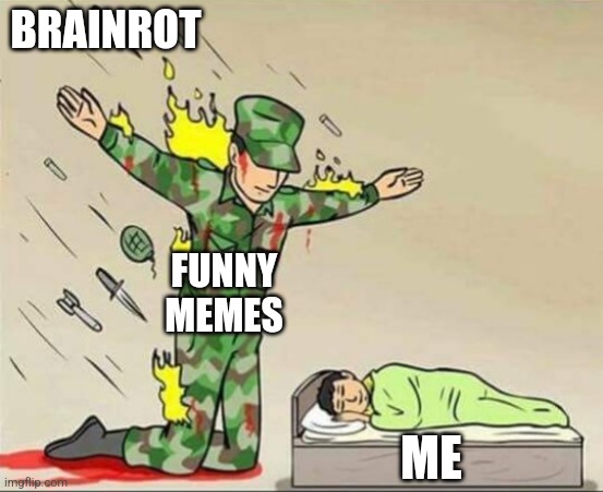 Every day | BRAINROT; FUNNY MEMES; ME | image tagged in soldier protecting sleeping child | made w/ Imgflip meme maker