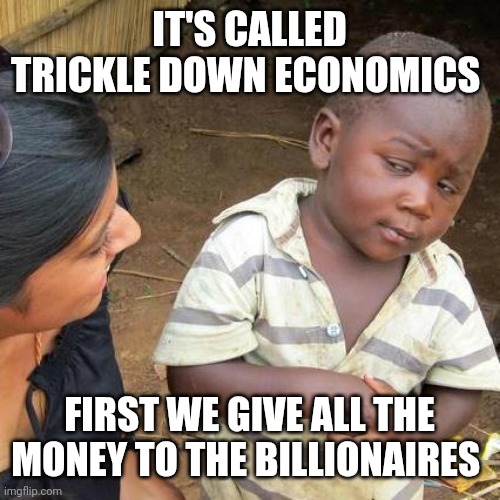 Save Elon | IT'S CALLED TRICKLE DOWN ECONOMICS; FIRST WE GIVE ALL THE MONEY TO THE BILLIONAIRES | image tagged in memes,third world skeptical kid,elon musk,trump,billionaire | made w/ Imgflip meme maker