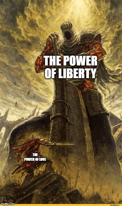 God bless America | THE POWER OF LIBERTY; THE POWER OF LOVE | image tagged in giant vs man | made w/ Imgflip meme maker