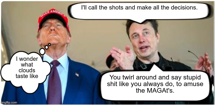 President Musk's Agenda | image tagged in trump,musk,magat's,the plan,shadow president,fools | made w/ Imgflip meme maker