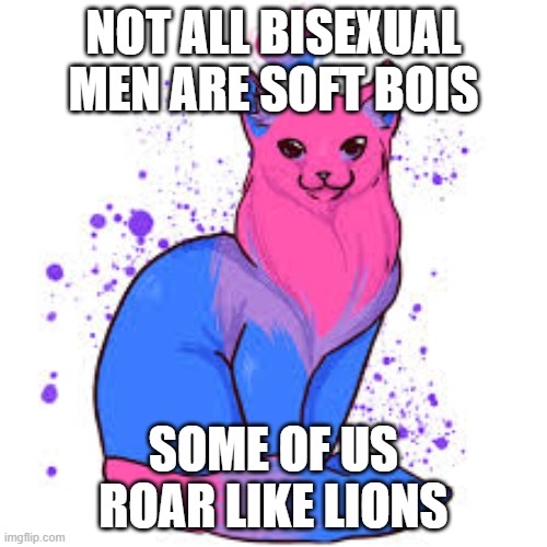 Bisexual Lion | NOT ALL BISEXUAL MEN ARE SOFT BOIS; SOME OF US ROAR LIKE LIONS | image tagged in bisexual cat | made w/ Imgflip meme maker