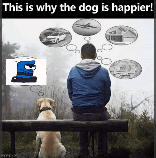 image tagged in why the dog is happier | made w/ Imgflip meme maker