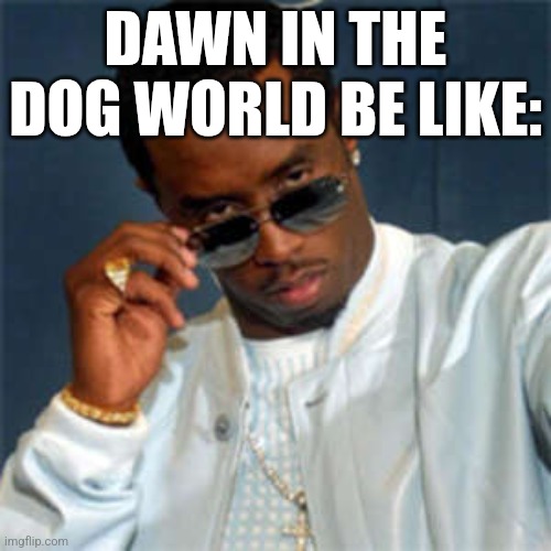 Dog diddler (can't think of any more ideas other than this sorry) | DAWN IN THE DOG WORLD BE LIKE: | image tagged in p diddy | made w/ Imgflip meme maker