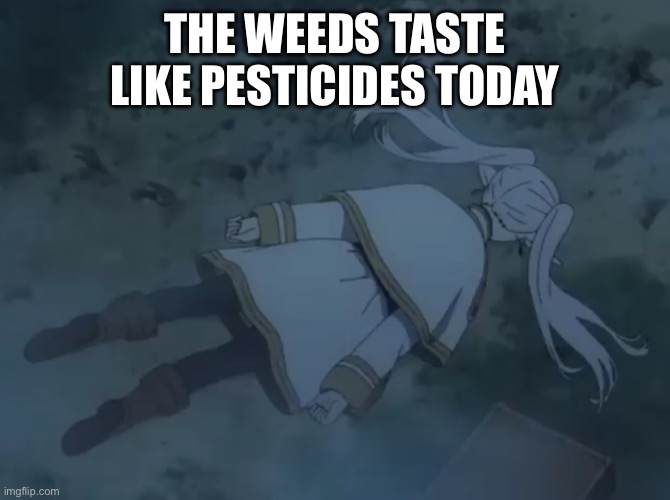 frieren laying down | THE WEEDS TASTE LIKE PESTICIDES TODAY | image tagged in frieren laying down | made w/ Imgflip meme maker