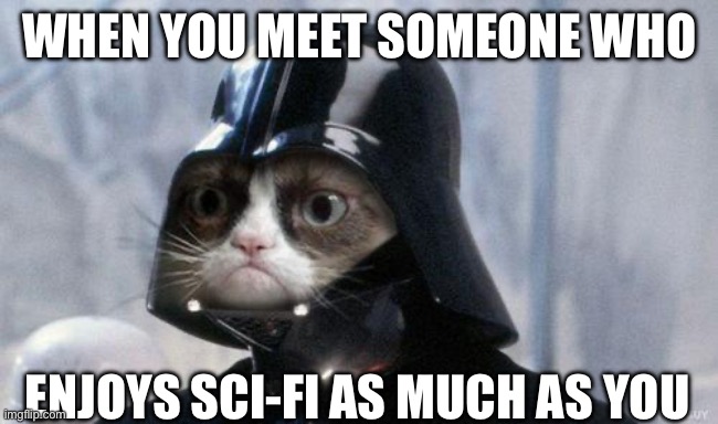 Grumpy Cat Star Wars | WHEN YOU MEET SOMEONE WHO; ENJOYS SCI-FI AS MUCH AS YOU | image tagged in memes,grumpy cat star wars,grumpy cat | made w/ Imgflip meme maker