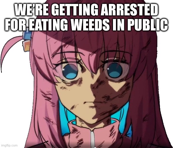 Tho my friend was butt naked so I guess they had a reason | WE’RE GETTING ARRESTED FOR EATING WEEDS IN PUBLIC | image tagged in bocchi the edgerunner | made w/ Imgflip meme maker